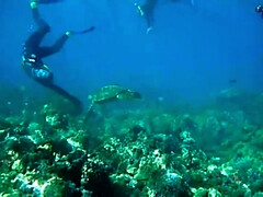 Plage, Tir de sperme, Gorge profonde, Fétiche, Branlette thaïlandaise, Hd, Pov, Tatouage