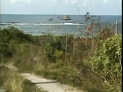 Plage, Groupe