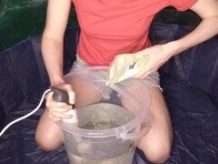 Wet and messy, sploshing, green gunge