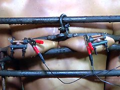 Bondage discipline sadomasochisme, Mooi, Pijpbeurt, Bruinharig, Hd, Orgasme, Buiten, Kut duiken